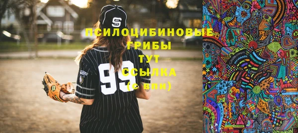дмт Армянск