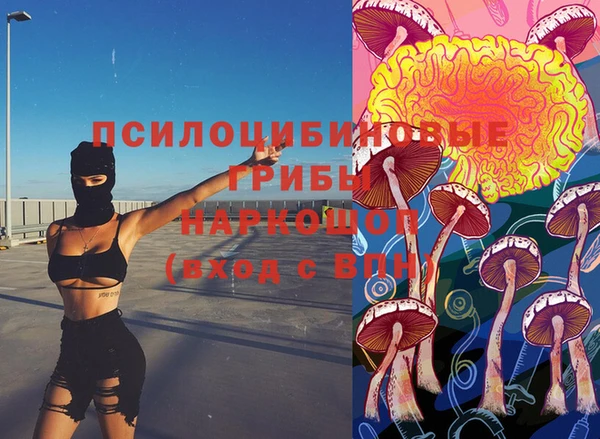 дмт Армянск