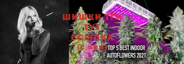 СК Аркадак